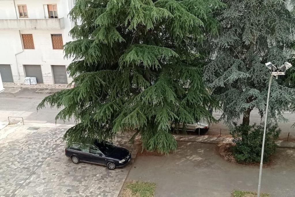 Appartamento Terrazza Bella Vista Cisternino Exteriér fotografie